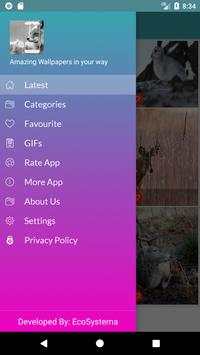 Nature Wallpapers: Birds, Animals, Butterflies screenshot 3
