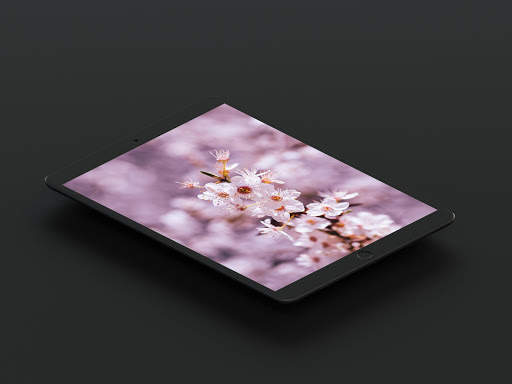 Cherry Blossom Wallpaper screenshot 10