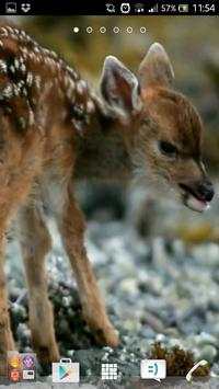 Deer wallpapers screenshot 1