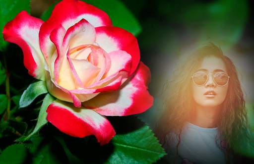 Flower Photo Frames screenshot 4