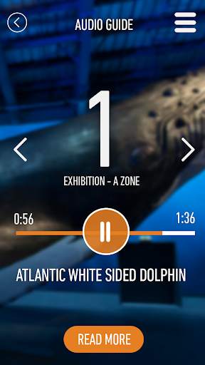 Whales of Iceland Audio Guide! screenshot 2