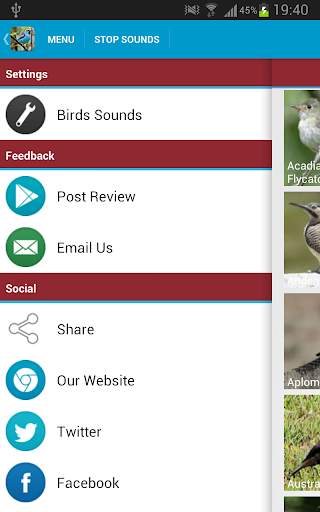 South American Birds Free स्क्रीनशॉट 9