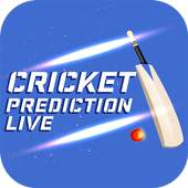 Real Cricket Prediction 1.0