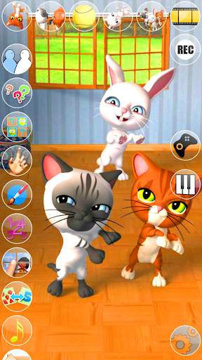 Talking 3 Friends Cats & Bunny screenshot 3