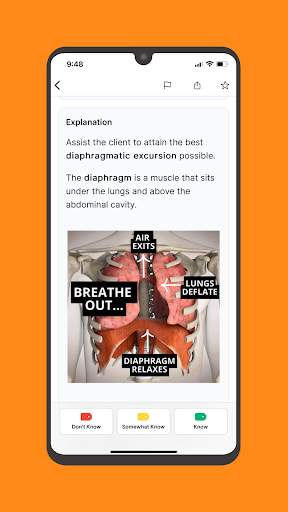 NCLEX RN | Mastery screenshot 8