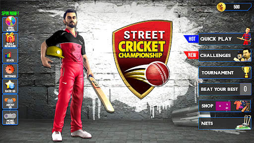 Street Cricket Championship screenshot 1