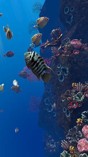 OCEAN AQUARIUM Live Wallpaper FREE screenshot 13