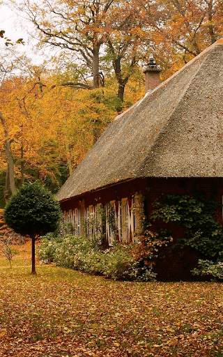 Autumn Live Wallpaper HD screenshot 8