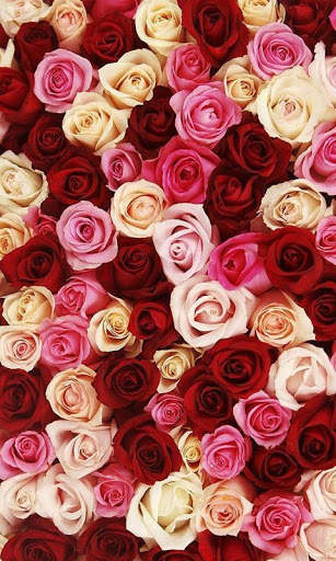 Rose Wallpapers screenshot 5