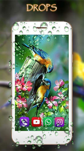 Love Birds Live Wallpaper screenshot 2
