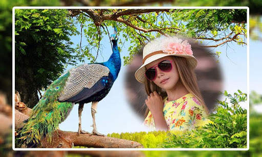 Peacock Photo Frames screenshot 4
