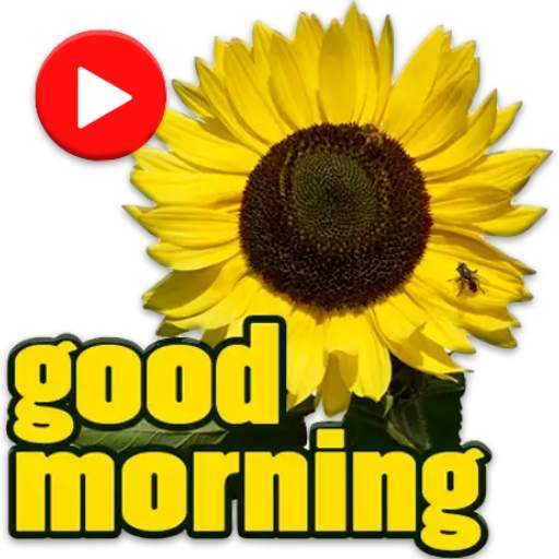 Animated Good Morning Stickers for WhatsApp 1.0