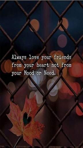 Friendship Quotes screenshot 1