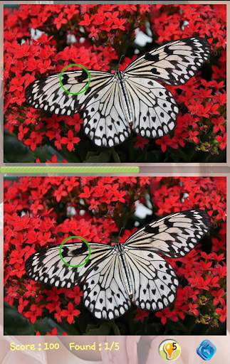 Find Differences Level 21 screenshot 3