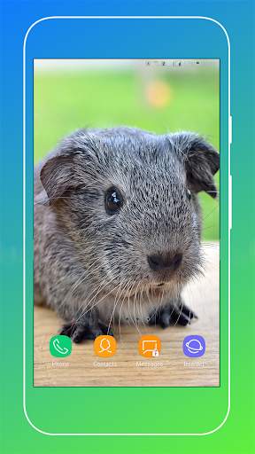 Guinea Pig Wallpaper screenshot 6