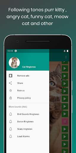 Cat Sounds Ringtones Purr screenshot 6