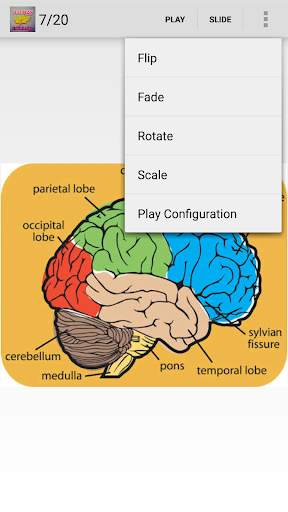 Biology knowledge screenshot 2