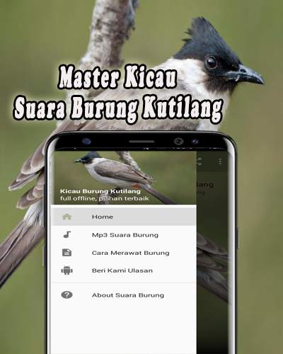 Suara Burung Kutilang Offline 1 تصوير الشاشة