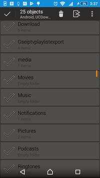 Player Browser screenshot 3
