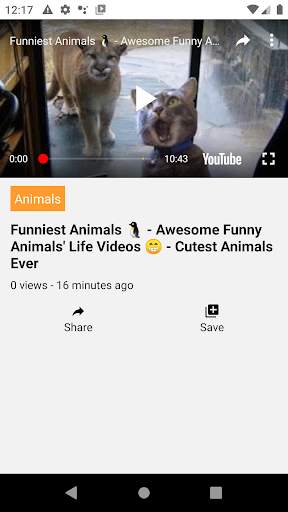 Videos 4 Fun screenshot 3