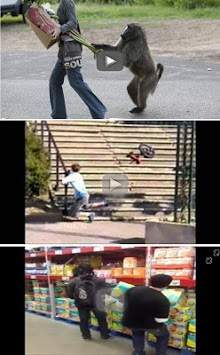 Funny Vidéos Droles WhatsApp screenshot 4