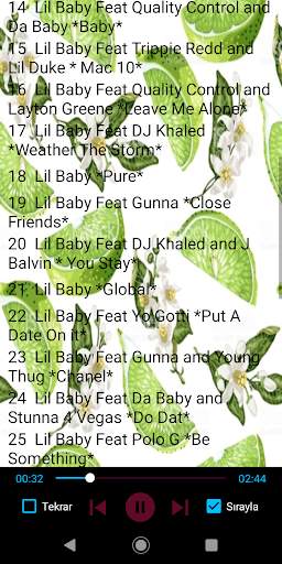 Lil Baby 40 Songs Offline screenshot 2