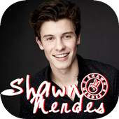 Shawn Mendes Song Offline 2019 1.0