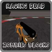 Survival Zombie Road Blocks logo