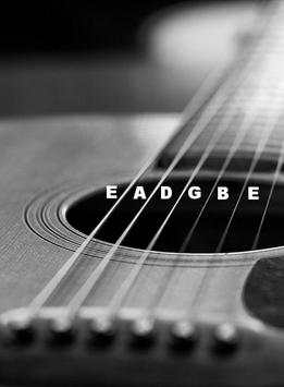 Best Pro Acoustic Guitar Tuner  - Free screenshot 2