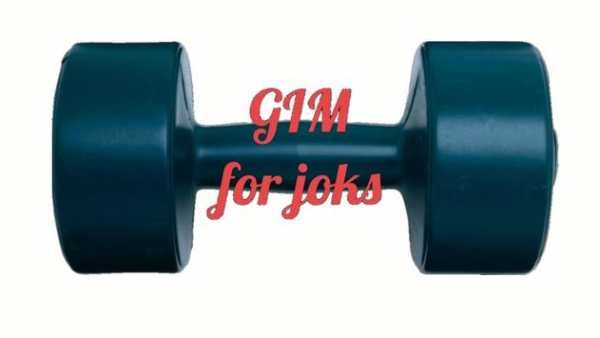 Gim screenshot 1
