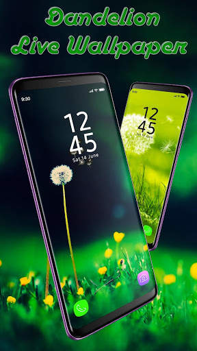 Beautiful Dandelion APUS Live Wallpaper screenshot 3