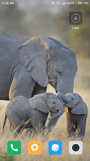 Elephant Wallpaper screenshot 2