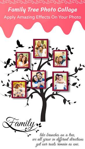 Family Tree Photo Collage & Photo Mirror 1 تصوير الشاشة