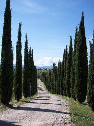 Italy Wallpaper Travel screenshot 6