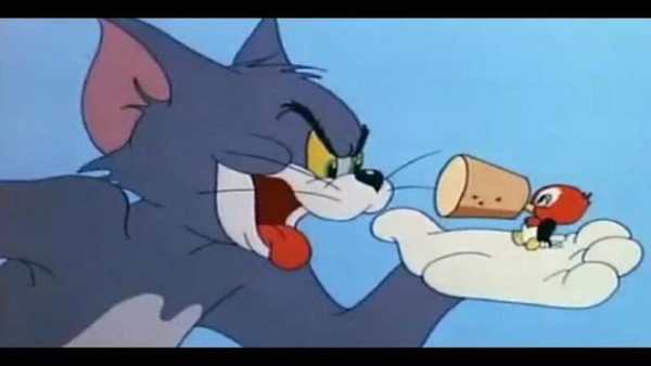 The Tom Cat and Jerry Video screenshot 1