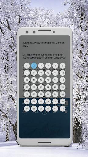 holy bible niv free screenshot 7
