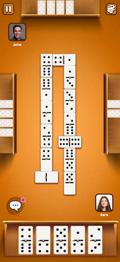 Domino Pro screenshot 6