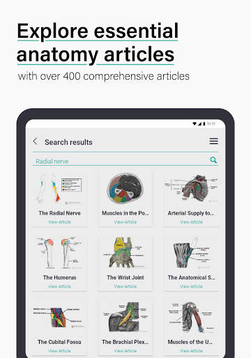 Teach Me Anatomy screenshot 5