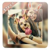 Pip Camera Photo Effect Pro 1.0
