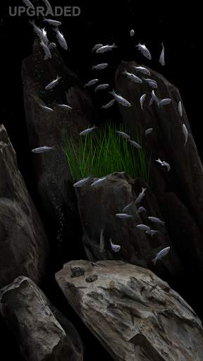 NANO AQUARIUM Free screenshot 22