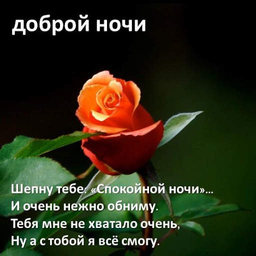 Good Night SMS Messages in Russian screenshot 1
