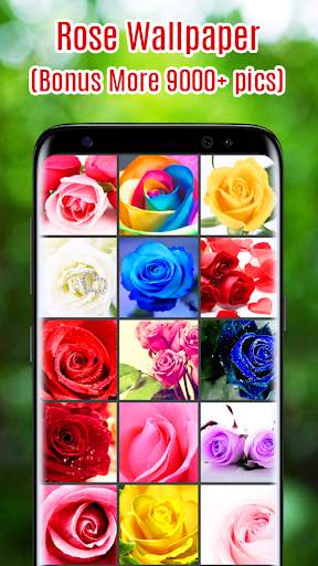 Rose Wallpaper screenshot 1