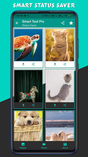 Smart Tools Pro -Status Saver Sticker Maker & More screenshot 2