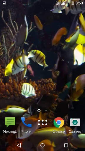 Fish Aquarium A Live Wallpaper screenshot 4