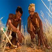 Botswana Bush Videos icon