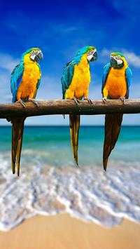 Birds LiveWallpapers screenshot 6