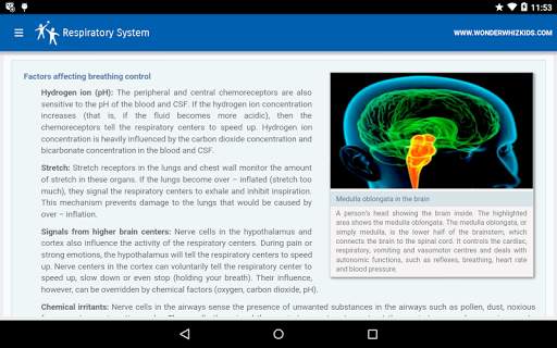 Respiratory System screenshot 2