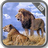 Tiger vs Lion Wallpaper icon