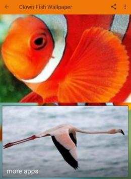 Clown Fish Wallpaper screenshot 1