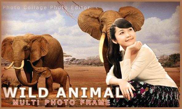 Wild Animal Photo Frame Multi 3 تصوير الشاشة
